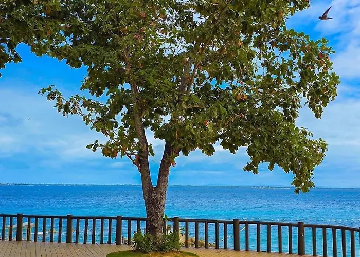 A Nice, Vibrant Place By The * Lapu-Lapu City